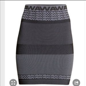 Alexander Wang H&M Skirt
